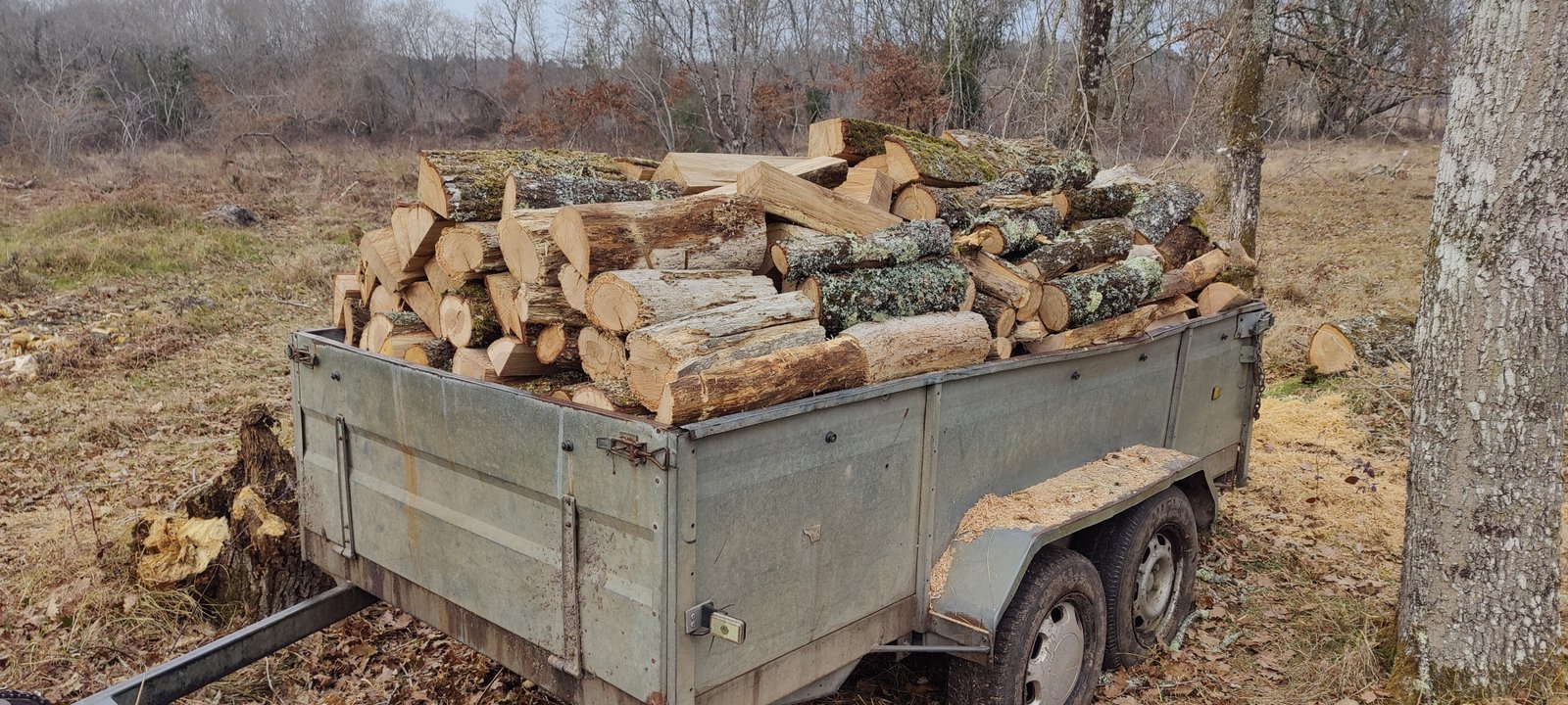 Bois de chauffage Mont de Marsan