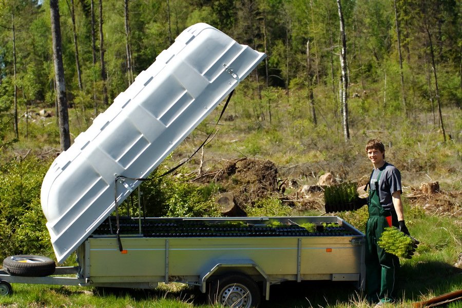 Forest Planting by Forest24.org